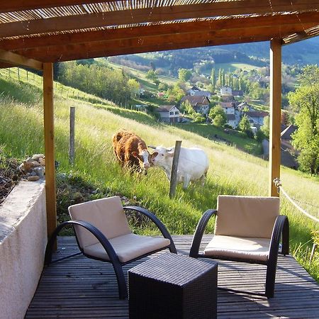 Gite Au Coeur Du Chalet En Belledonne Vers Prapoutel Les 7 Laux Sainte-Agnès Kamer foto
